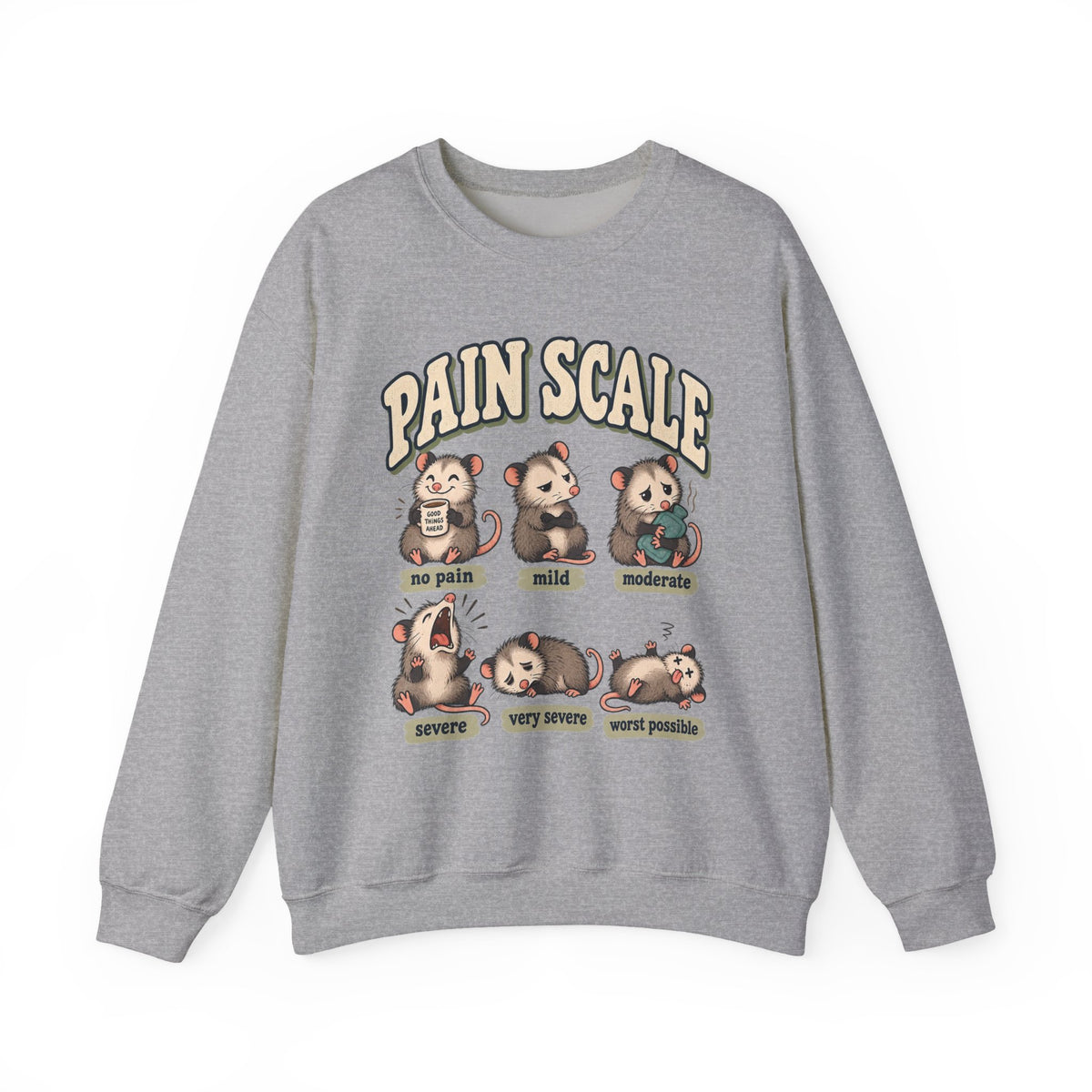 Pain Scale Opossum Sweatshirt in Sport Grey